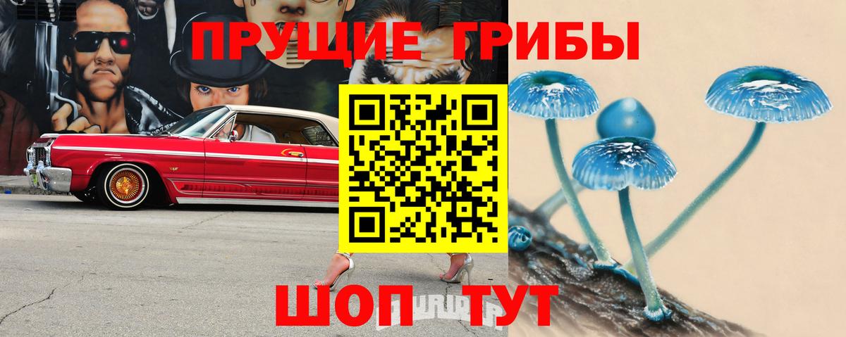 Псилоцибиновые грибы Cubensis Кимры
